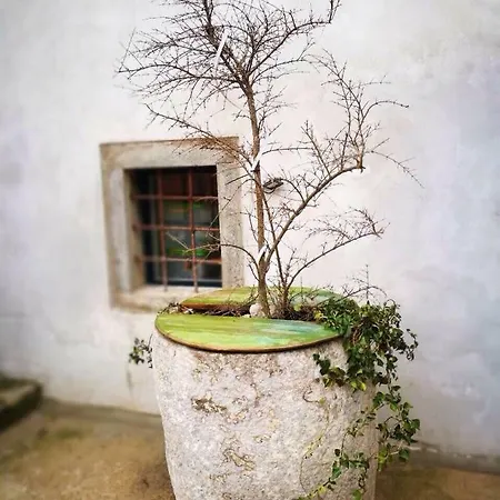 Art Kuning Apartamento Cres