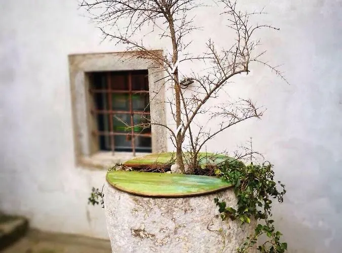 Art Kuning アパート ツレス